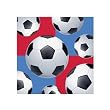 Soccer Party Beverage Napkins