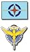 Gundam 00: Celestial Being and AEU Symbols (Set of 2) Pins.
