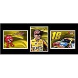 TSF-KYB10 Kyle Busch triple shot frame photo. These pieces come double matted in a heavy metal frame with glass front. Features three 5 x 7 photographs of driver and car.