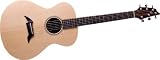 Breedlove American Series C20 SR Acoustic Guitar