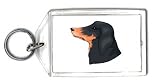 Keychain with animal, dog, canine, retriever