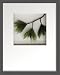 �s���[�t�A�[�g�tHana concept frame Pine pick III�i��3�j