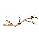 Exo Terra Forest Branch, Large