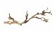 Exo Terra Forest Branch, Large Exo Terra Forest Branch, Large