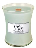 Aloe WoodWick Jar Candle - 10 oz. (1745)