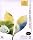 Adobe Creative Suite Standard ���{��� Macintosh�� ���߸�ڰ�ޔ�