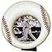 Baseball Softball Photo Frame Little League Sports Memorabilia