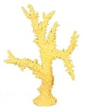 Branch Coral - Extra Large (white) 2pk, Aquarium Decorations, Aquarium Plants, Aquatic Pets, Aquatic, Horse & Cattle, Insects, Reptiles, Pet & Supplies