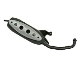 Auspuff Auspuffanlage TECNO Straight SYM Mio 50cc 4 Takt