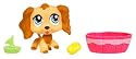 Littlest Petshop - 93660 - Poup&eacute;e - Petshop Duo ou avec Accessoires - Cocker