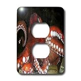 Fishing - Octopus - Light Switch Covers - 2 plug outlet cover
