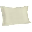 Spasilk 100% Pure Silk Facial Beauty Pillowcase, Standard/Queen Size Ivory