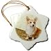 Pembroke Welsh Corgi - 3 Inch Snowflake Porcelain Ornament