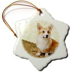 Pembroke Welsh Corgi - 3 Inch Snowflake Porcelain Ornament
