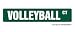 VOLLEYBALL Street Sign signs ball net player team gift