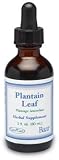 Plantain Leaf Fluid Extract, 2oz