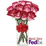 Roses - Regal Rittenhouse
