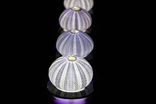 SeaThingz Flameless Candles - Sea Urchin for Indoor & Outdoor Decorative Novelty Lighting - LED Battery Operated Tealight for Elegant Home Decor - Unique Nonstandard Shaped Candle Purple pack of 4