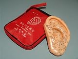 Mini Ear Model of Acupuncture Points