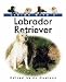   - Barrons Books Living with a Labrador Retriever Book