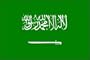 3 x 5 Feet Saudi Arabia Poly - outdoor International Flag Made in US.
