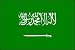 All Products : 3 x 5 Feet Saudi Arabia Poly - indoor International Flag Made in US.