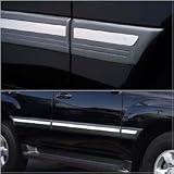 Putco Side Moulding Cover