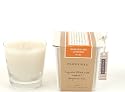 Paddywax Eco 5.5-Ounce Poured Glass Soy Candle, Mandarin & Lavender