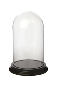 Provenance At Home Cloche en verre avec support en bois Noir 30 x 20