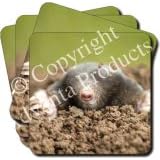 MOLE Set of 4 Coasters