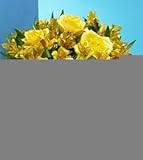 Yellow Rose & Peruvian Lily Bouquet