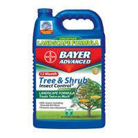 Bayer Advanced Tree & Shrub Insect Control