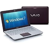 Sony Sony Vaio Vpc-w12s1e, Ms Windows 7 Starter, Atom N280 1.66 Ghz, 1gb Memory, 250gb Hard Drive, 10.1 720p Hd, No Optical Drive, Europc 1 Year Return To Base Warranty