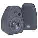 Bic America Adatto Dv52Si Adatto Indoor/Outdoor Speakers (Black)