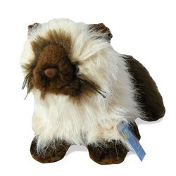 Webkinz Himalayan Cat