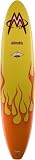 McTavish Surftech 8'0 Carver Funboard