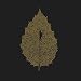 Dear John Letter-Between Leaves/Foresta