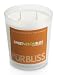 Sweet Melon Bliss Soy Candle - Large Jar