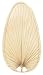 22 Narrow Oval-Shaped Natural Palm Leaf Ceiling Fan Blades in Green