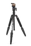 Davis and Sanford TRAVERSEB8 Traverse Tripod with BHQ8 Ball Head (Black)