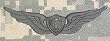 Aircraft Crewman - Metal Insignia - Black - Full Size