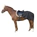 Sports : 100249 Nierendecke