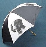 Brittany Umbrella by Porcelain by Rosalinde (60' Arc)