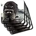 Raccoon, Raccoons - Set Of 8 Coasters - Soft