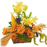 Lilies - Fall Grandeur