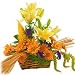Lilies - Fall Grandeur