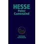 Peter Camenzind: Erz�hlung