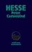  : Peter Camenzind: Erz&auml;hlung
