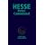 Peter Camenzind: Erz�hlung