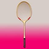 Economy BADMINTON RACKET